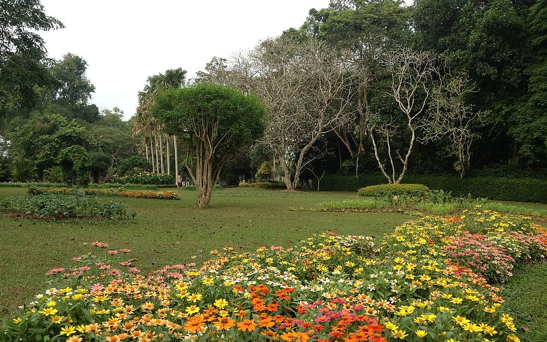 Jardín Botánico Henarathgoda